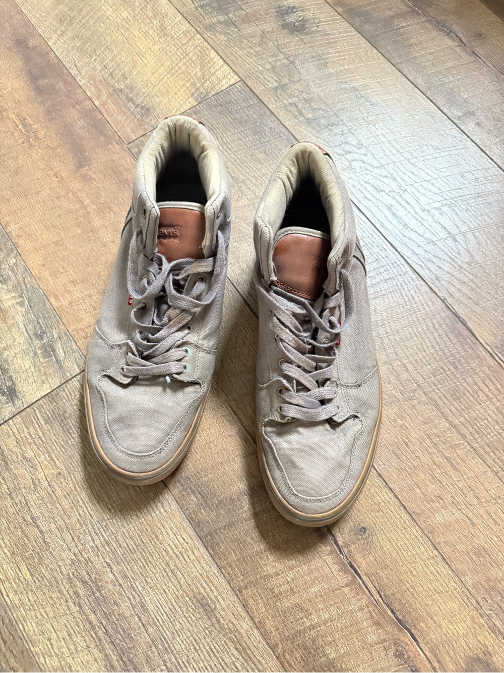 Levi's Men's High-Top Sneakers in Taupe with Brown Tongue